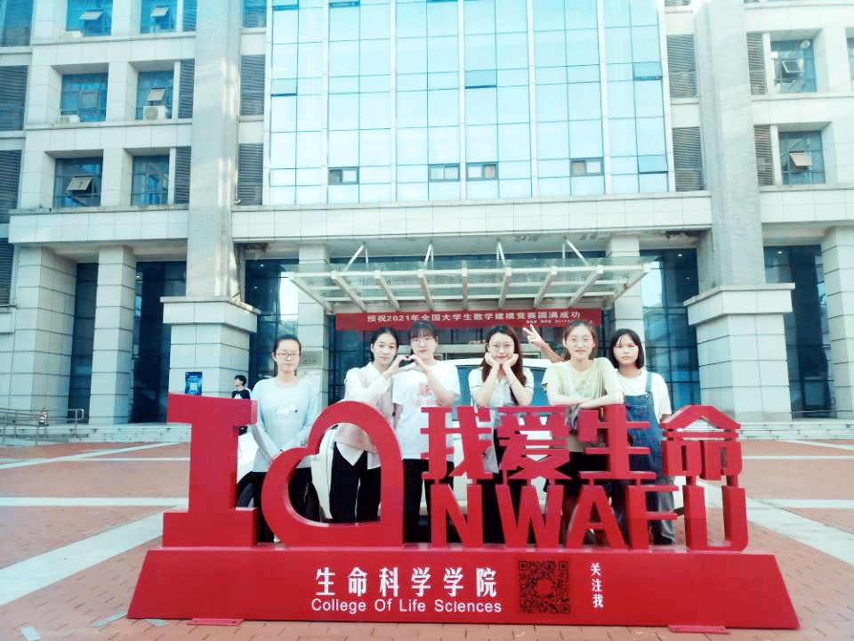 c4ada0a7552a433e808cfda1c3764340.gif
