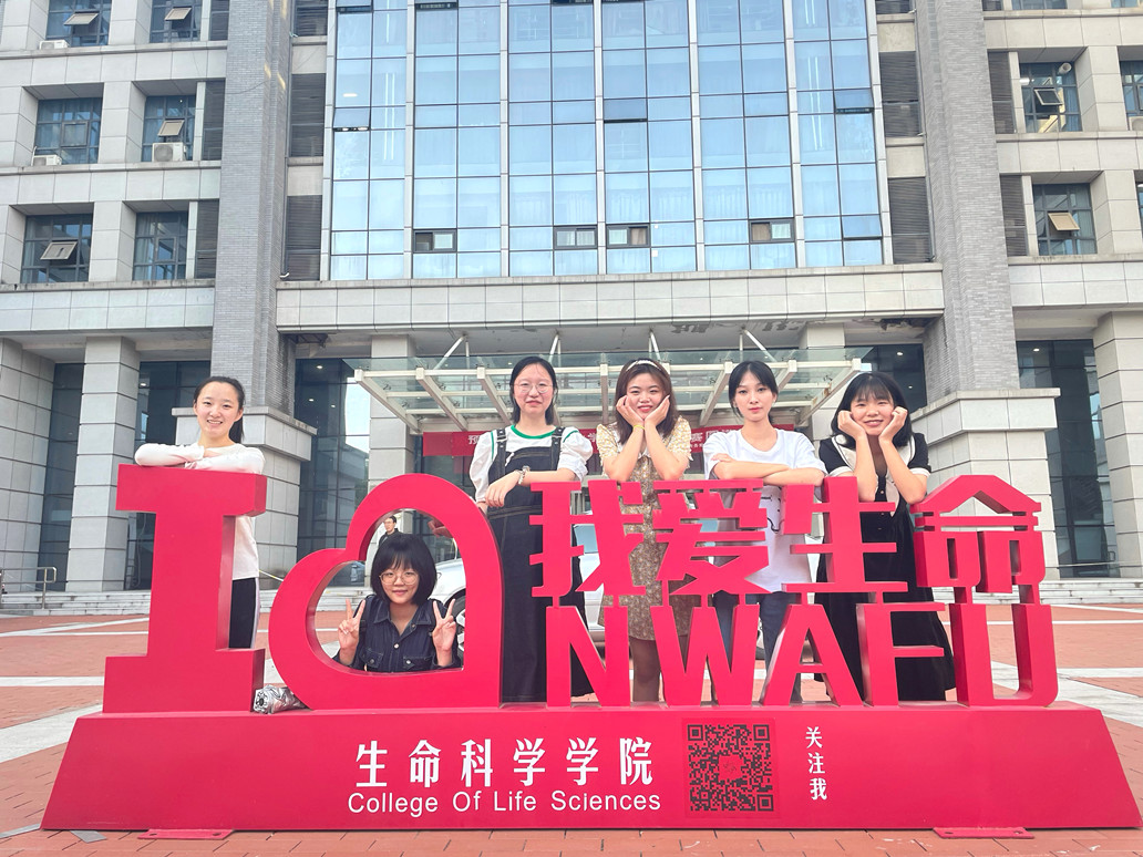 cfe3427be64f4b80b2690f58f7d9b2ac.jpg