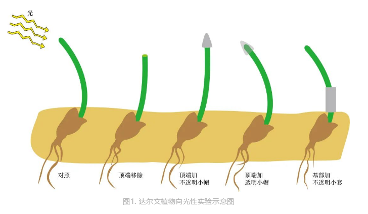 03659f9bd2db44bdadfba5659541f8e7.png image.png