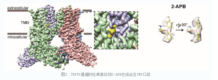 6f3ac2789c1e49b6bd3edfb6b23d7d01.png image.png
