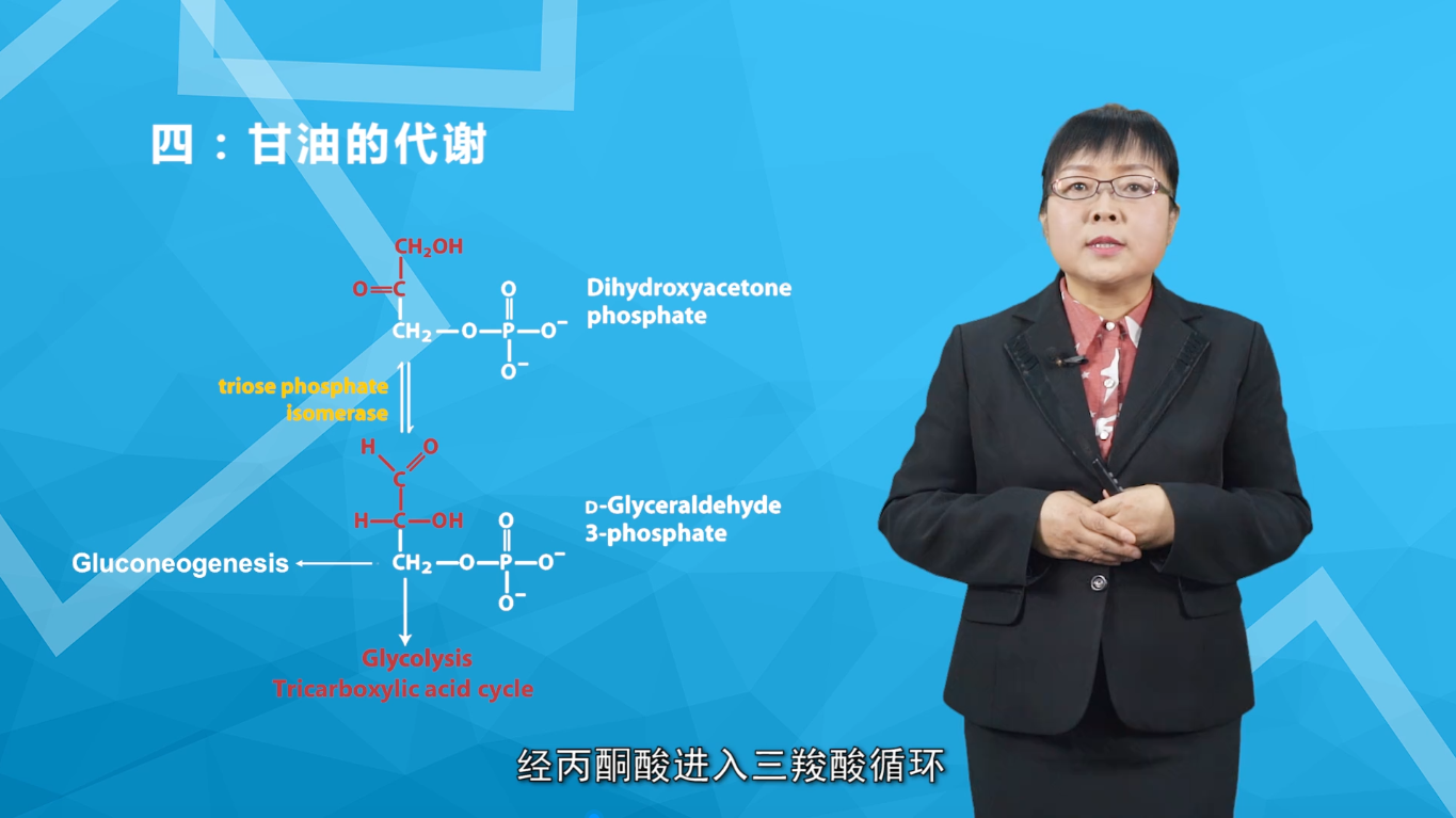 5d3115008fad4a4284ba7fa444361d14.png 5d3115008fad4a4284ba7fa444361d14.png